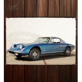 Металлическая табличка Lotus Elan +2 (Type 50)